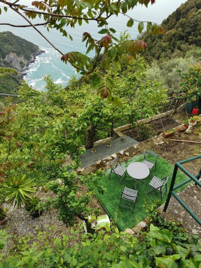 Cinque Terre Sea View Leilighet Vernazza Eksteriør bilde